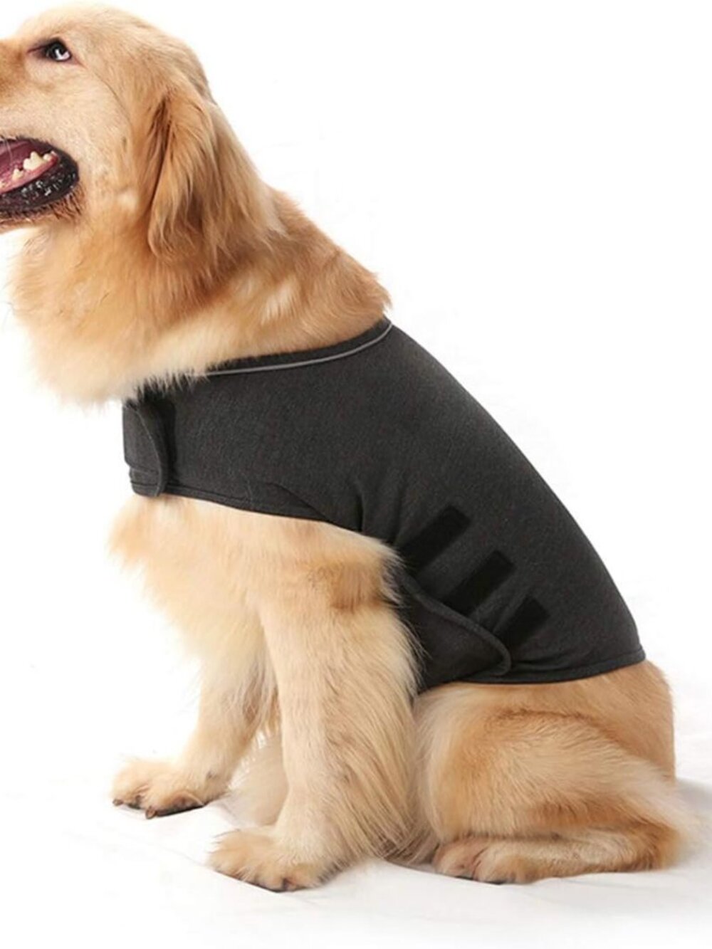 Dog Anxiety ThunderShirt Vest